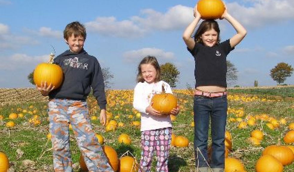 Spookley at Darts Farm The Exeter Daily